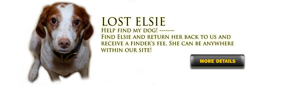 elsie